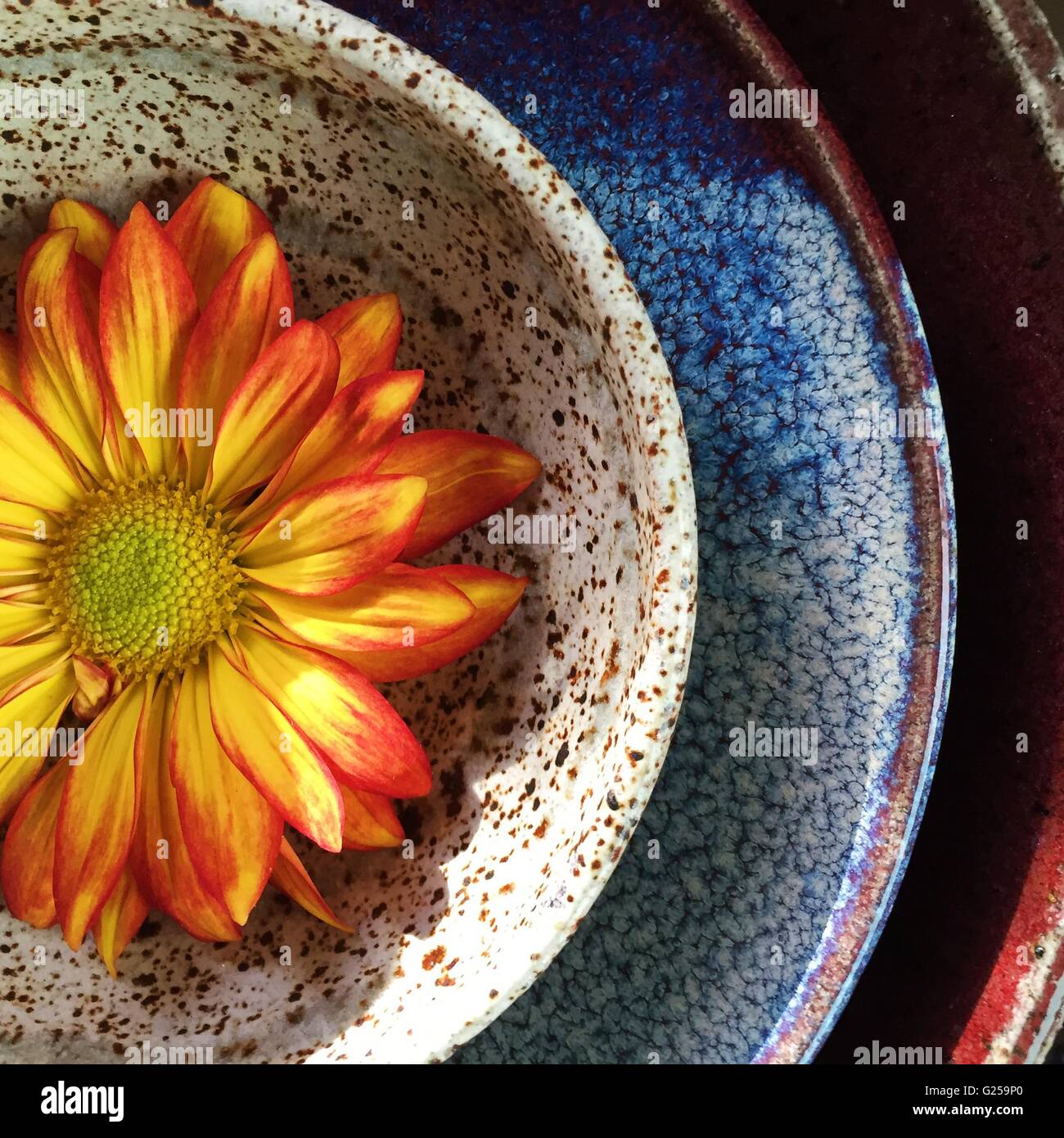 Blume in einem konzentrischen Verschachtelung Keramikschalen Stockfoto