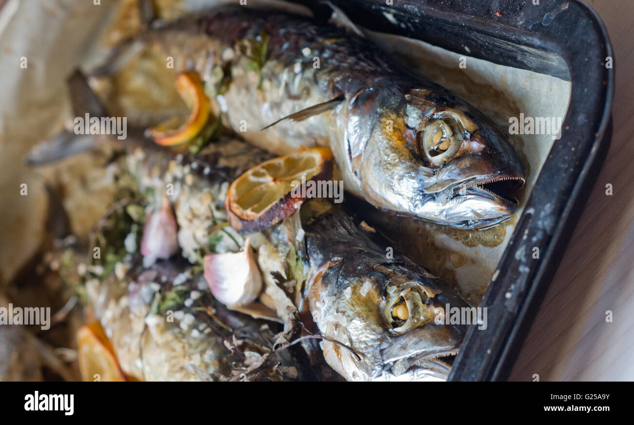 Gebackene Fische im Backblech mit Knoblauch und Zitrone Stockfoto