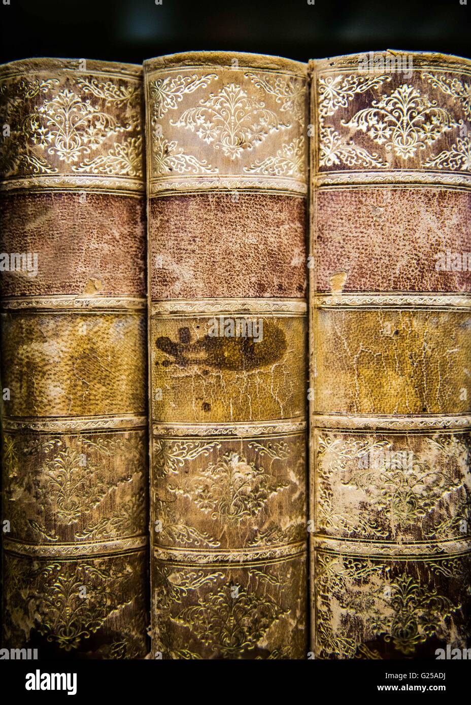 Nahaufnahme von drei Oldtimer Bücher im Bücherregal Stockfoto