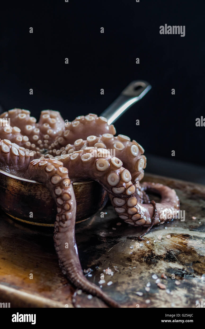 Nahaufnahme eines Tintenfischs in Topf Stockfoto