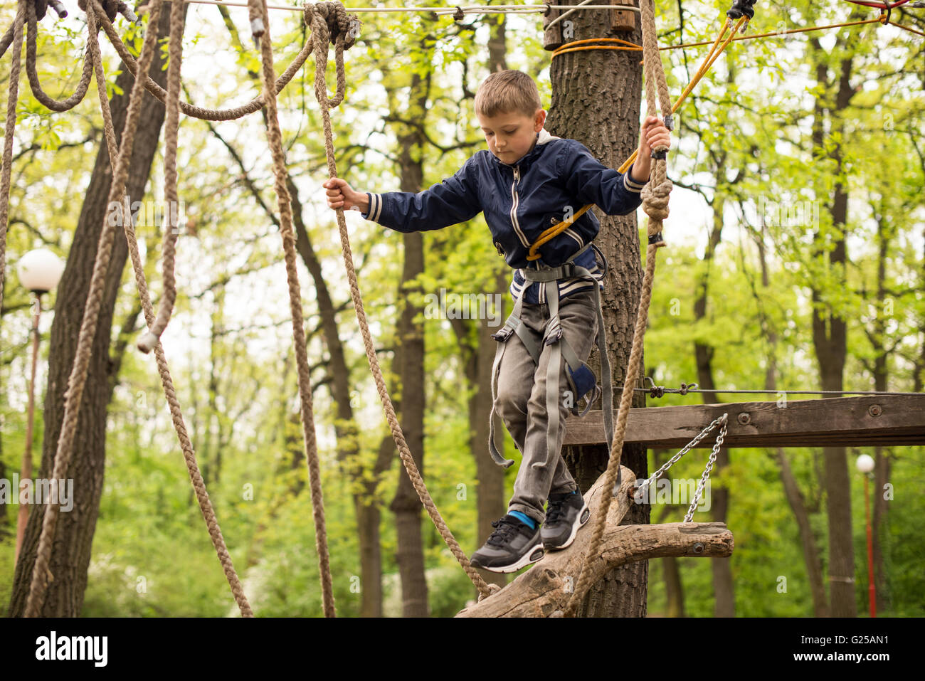 Junge in Seilgeschirr auf Klettern Plattform im Baum im Abenteuerpark Stockfoto