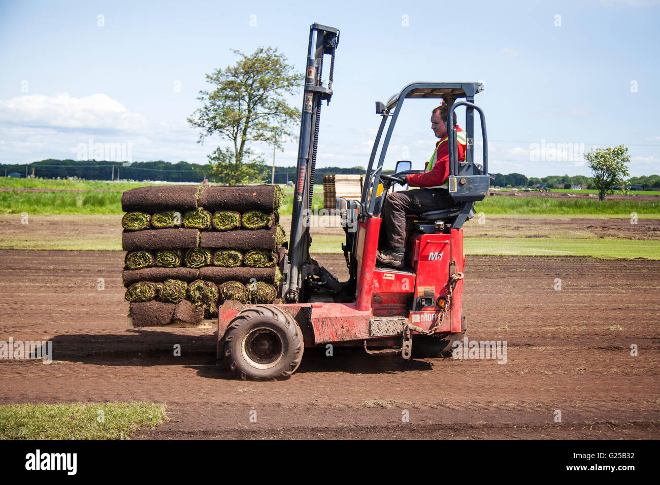 Ernten Rasen in Burscough, Lancashire, UK. Kommerziellen Anbau von Rasen auf Land als eine Rotations-Ernte gemietet. Stockfoto