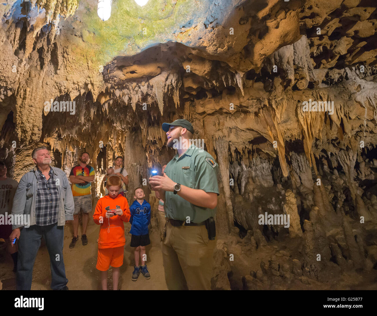 Florida Caverns State Park in Marianna, Florida bietet Höhlentouren durch fantastische geologischen Formationen aus Kalkstein. Stockfoto