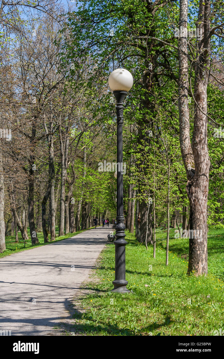 Einspurige Straße im Park Stockfoto