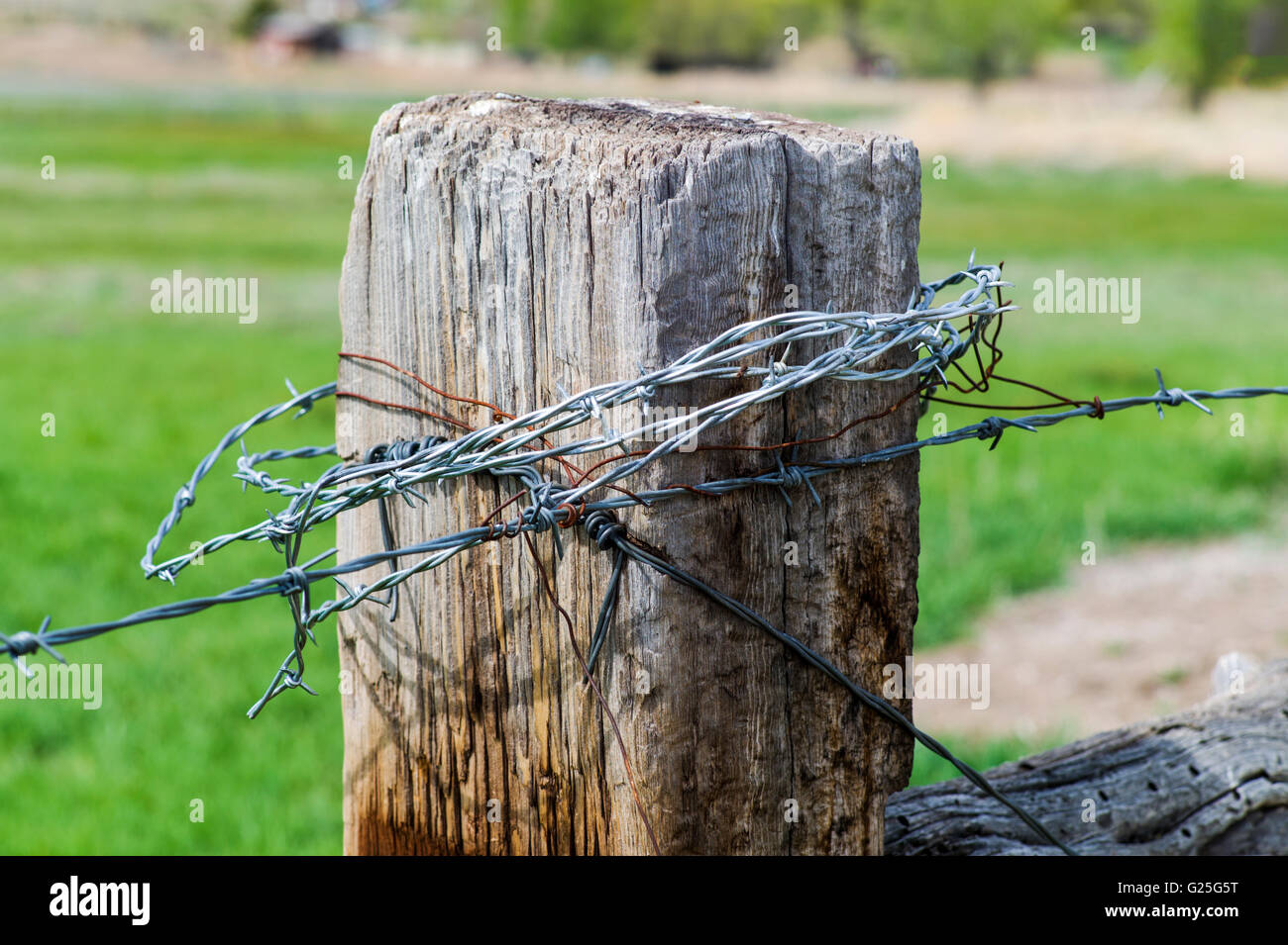 Stacheldraht auf Ranch Wiese hölzerner Zaunpfahl; zentralen Colorado; USA Stockfoto