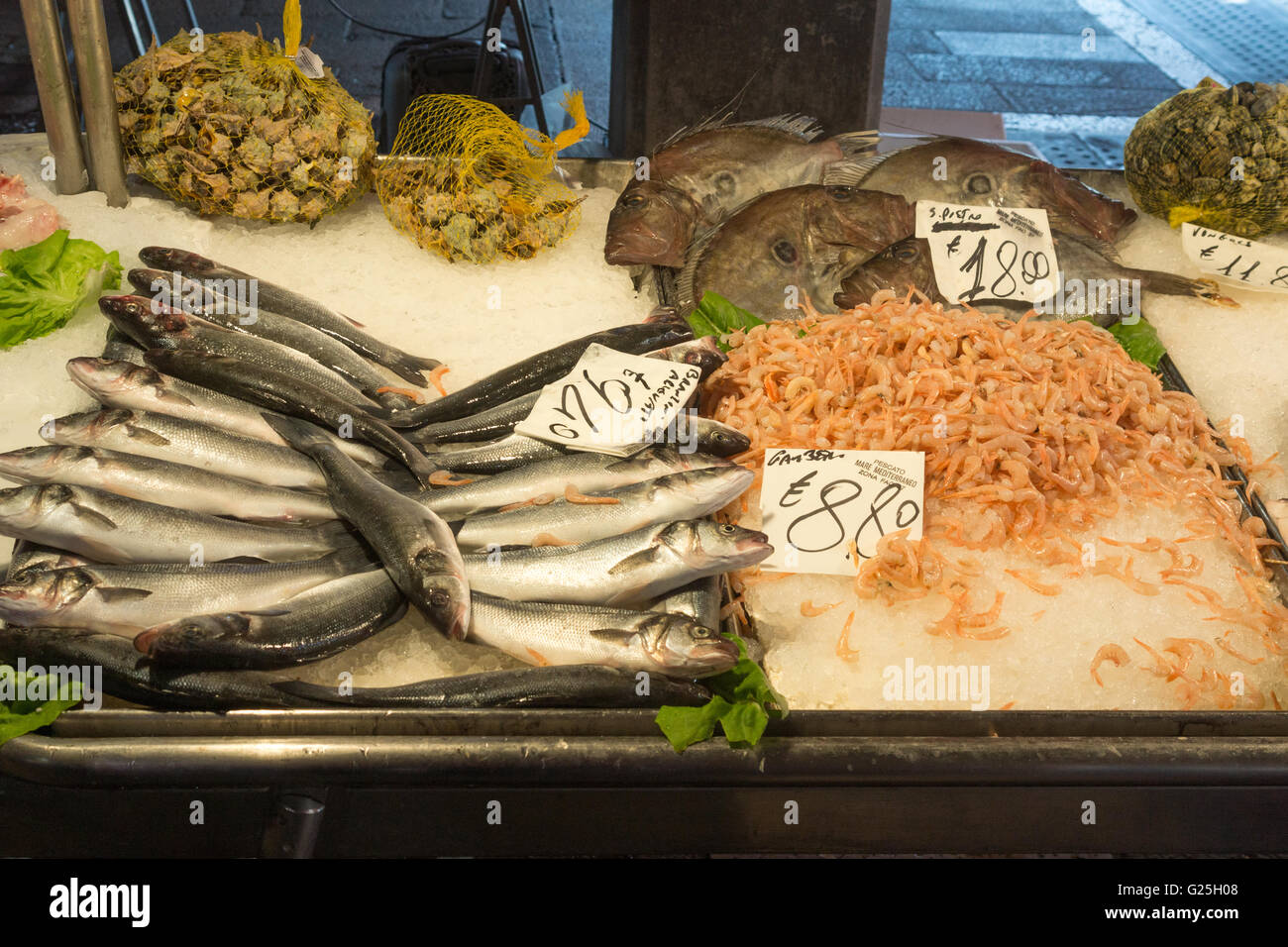 Meeresfrüchte auf Verkauf in Pescaria, Markt von Rialto, Venedig Stockfoto
