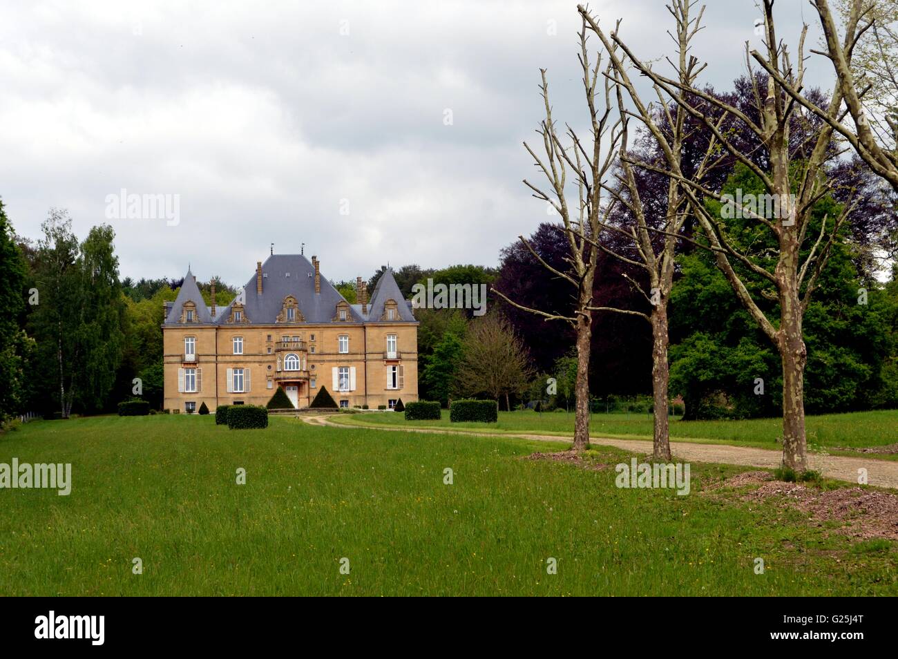 Ehemalige Burg im Wald mit einem Weg von Bäumen und eine große Liegewiese. Stockfoto