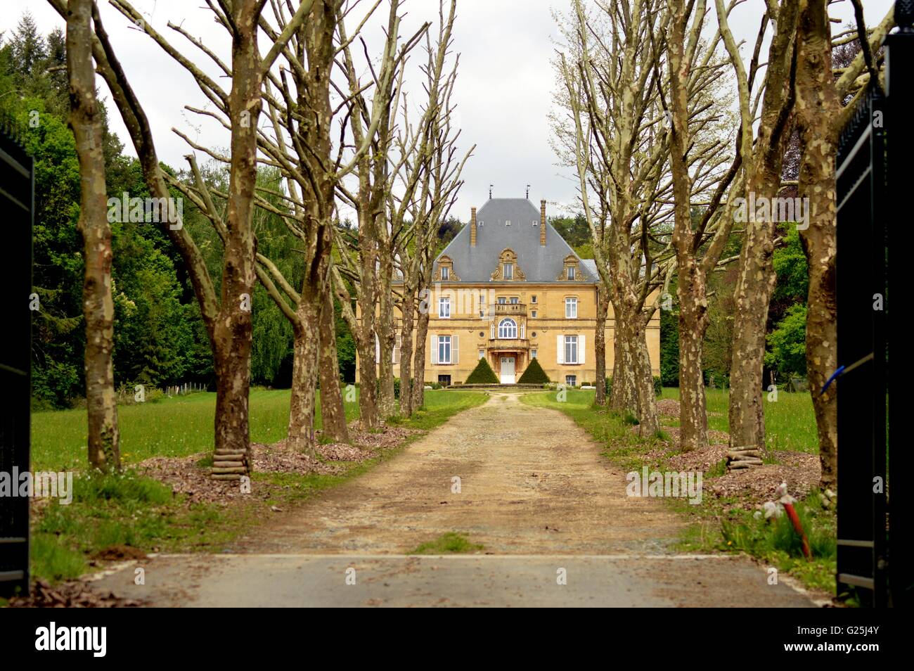 Ehemalige Burg im Wald mit einem Weg von Bäumen und eine große Liegewiese. Stockfoto