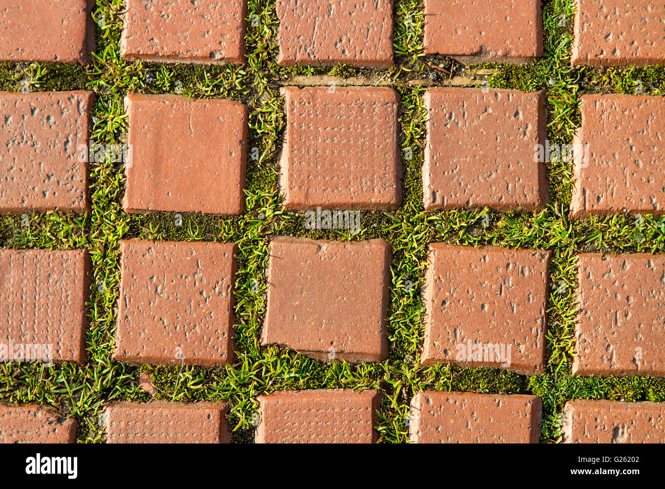 Grass Paving Pattern Surface Fotos Und Bildmaterial In Hoher grass-paving-pattern-surface-fotos-und-bildmaterial-in-hoher
