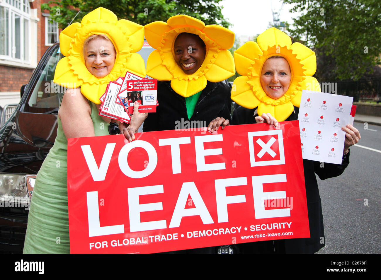 Sloane Square, London, UK 24. Mai 2016 - Abstimmung verlassen Aktivisten Narzissen Gesicht tragen Hut außen RHS Chelsea Flower Show Credit: Dinendra Haria/Alamy Live News Stockfoto