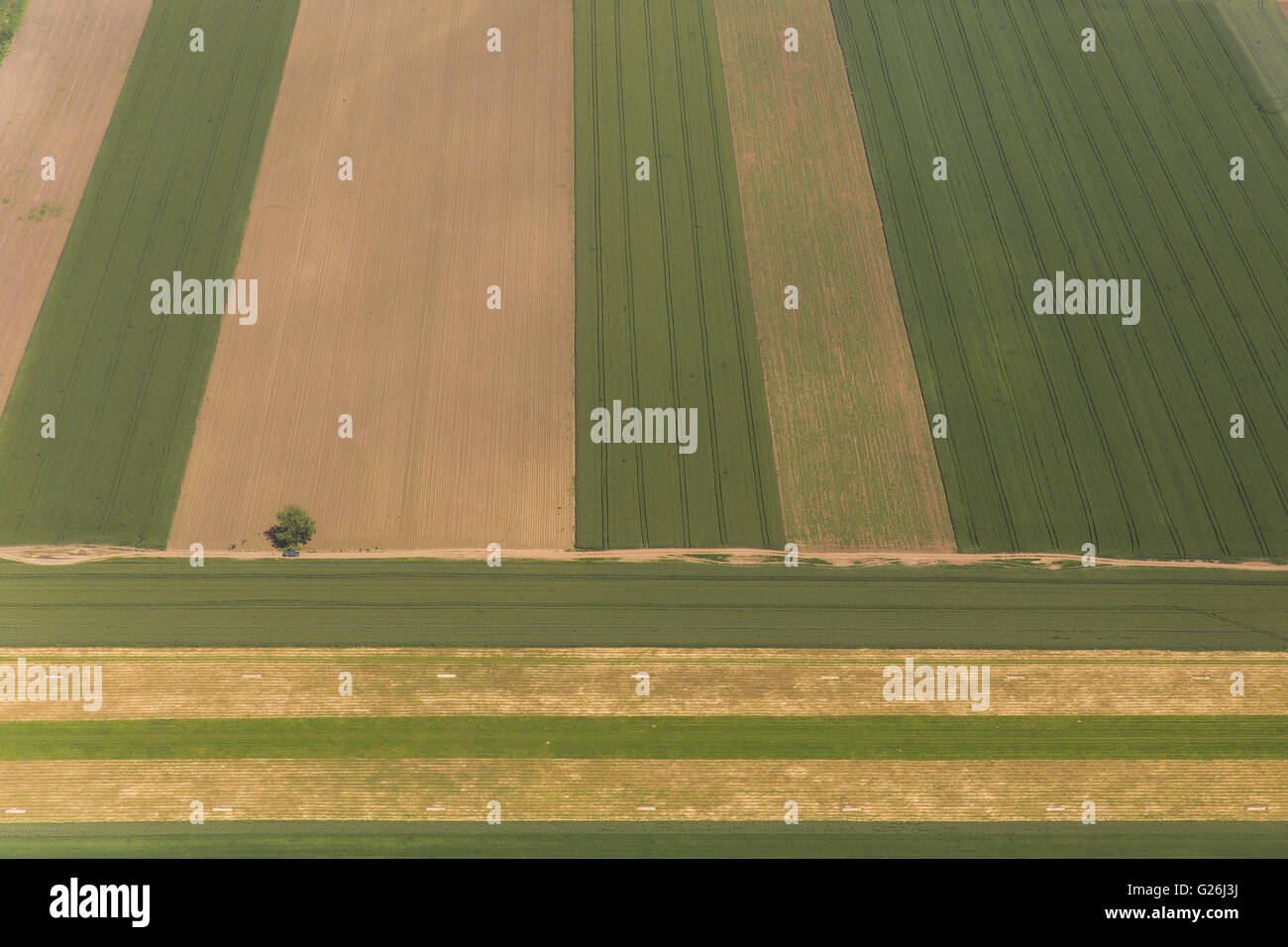 Luftaufnahme von einer grünen, ländlichen Gegend in der Vojvodina Stockfoto