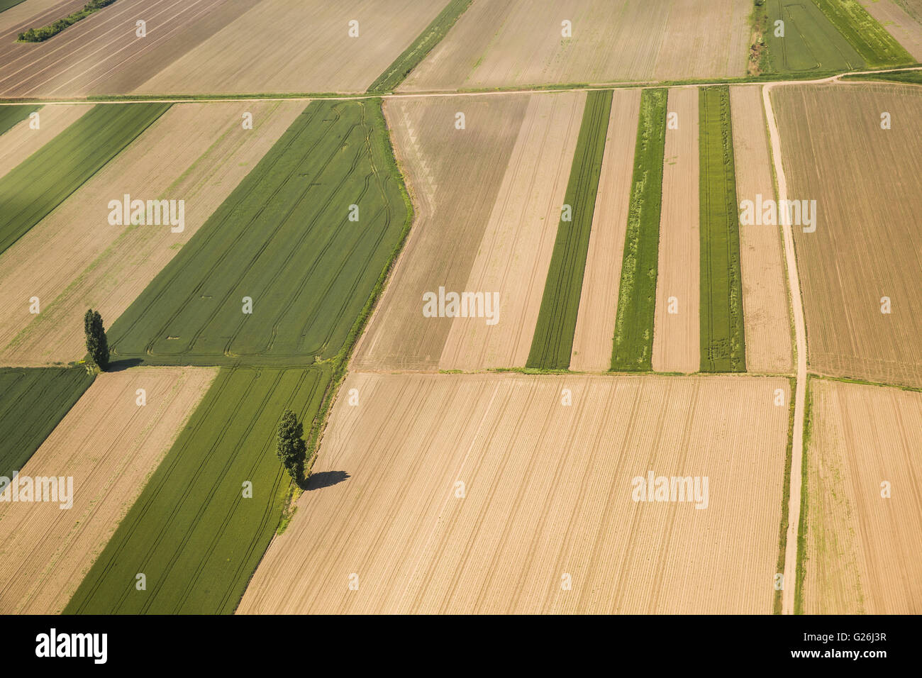 Ackerland Luftaufnahmen in der Vojvodina Stockfoto