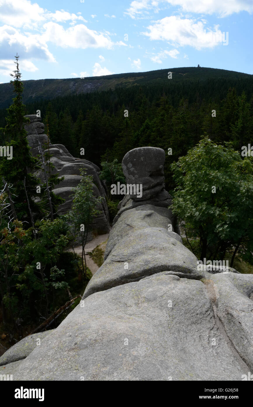 Pielgrzymy Felsen im Riesengebirge in der Nähe von Karpacz in Polen Stockfoto