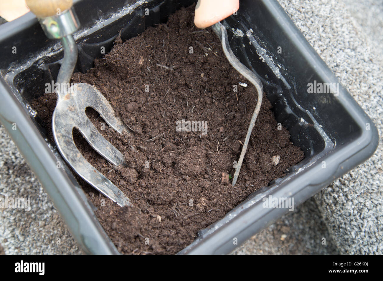 Ein quadratischer Topf mit Blumenerde Kompost und eine Hand-Gabel und Kelle Stockfoto