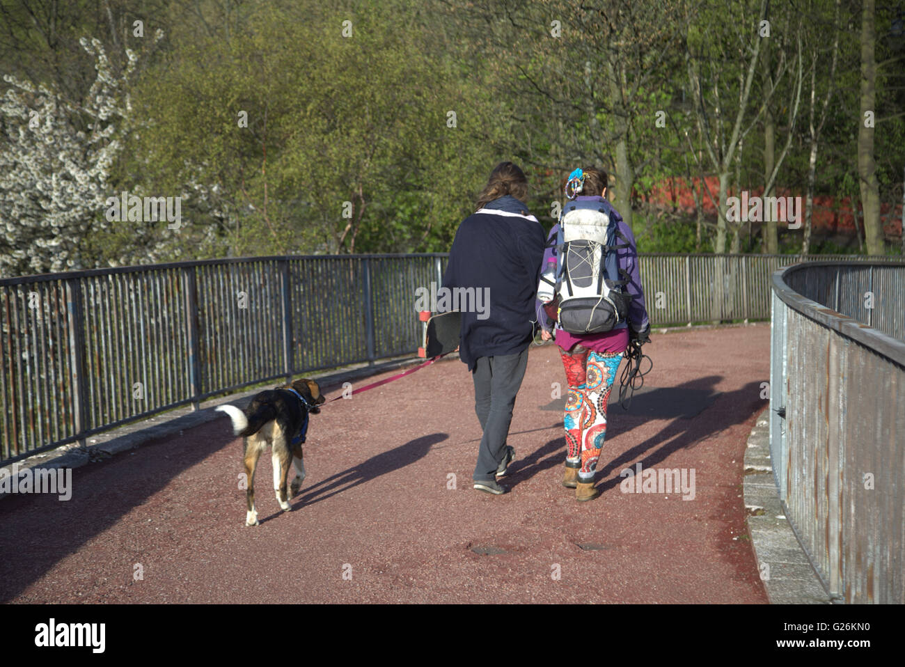 junge Frau und Mann zu Fuß Hund über die Fußgängerbrücke in die Stadt Glasgow, Scotland, UK. Glasgow, Schottland. Stockfoto