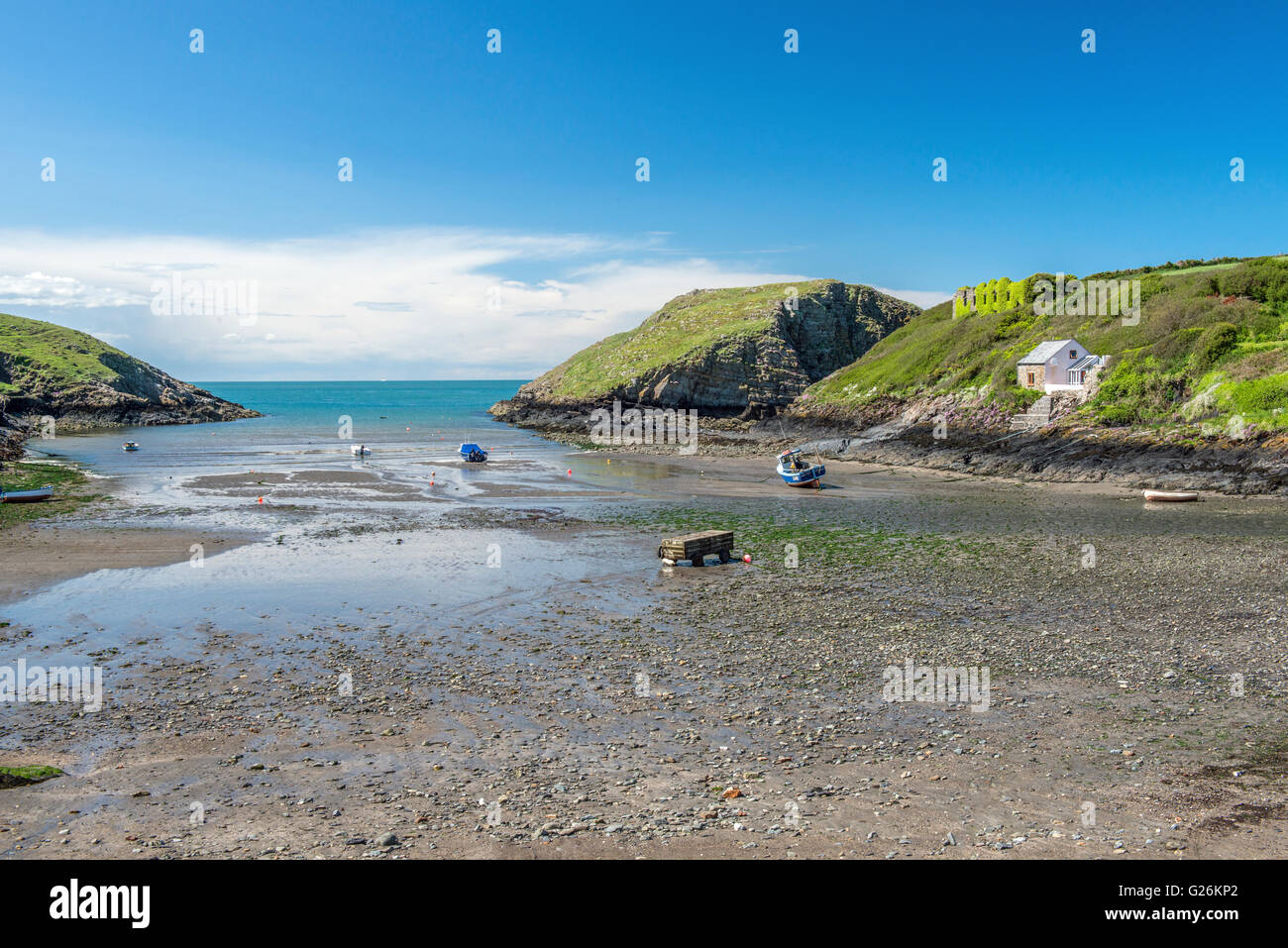Strand von Abercastle an der Küste von Pembrokeshire Coast National Park, West wales Stockfoto
