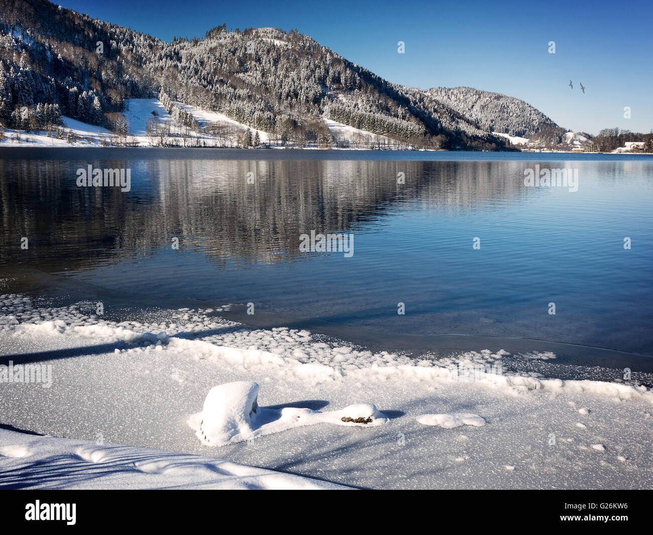 De - Bayern: Winter am See schliersee (Südbayern) Stockfoto