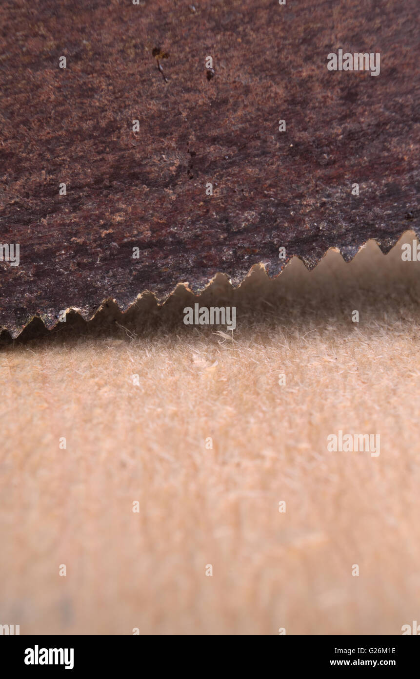 Sägen ein Eukalyptus Holzoberfläche. Hintergründe und Texturen Stockfoto