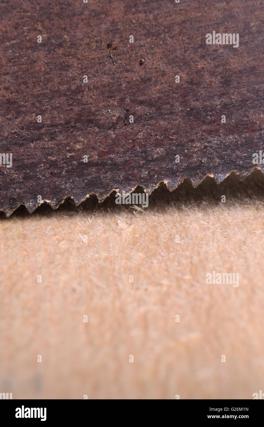 Sägen ein Eukalyptus Holzoberfläche. Hintergründe und Texturen Stockfoto