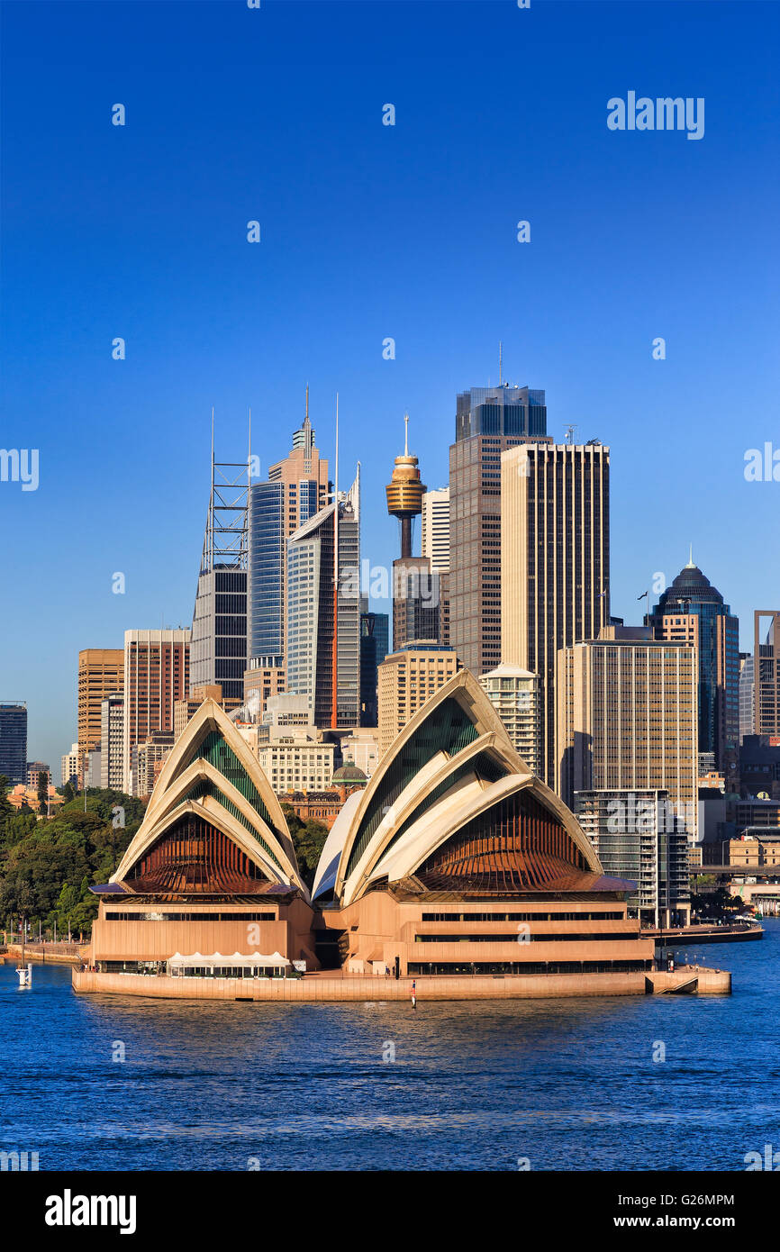 Dichten Bebauung in Sydney Stadt CBD als Beton-Dschungel. Hochhäuser und Türme gesehen durch den Sydney Harbour unter blau klar s Stockfoto