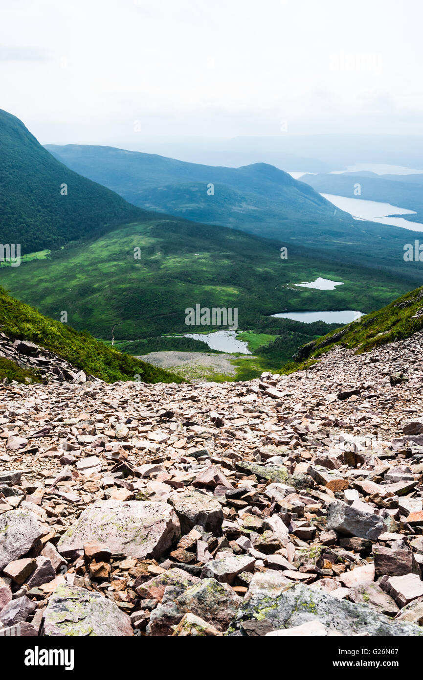 Gezackte Trümmer von Felsen Abstieg vom Berg gegen die grünen Hügeln verschwindende in weißen Nebel in Distanz, auf der Oberseite des Gros Morne. Stockfoto