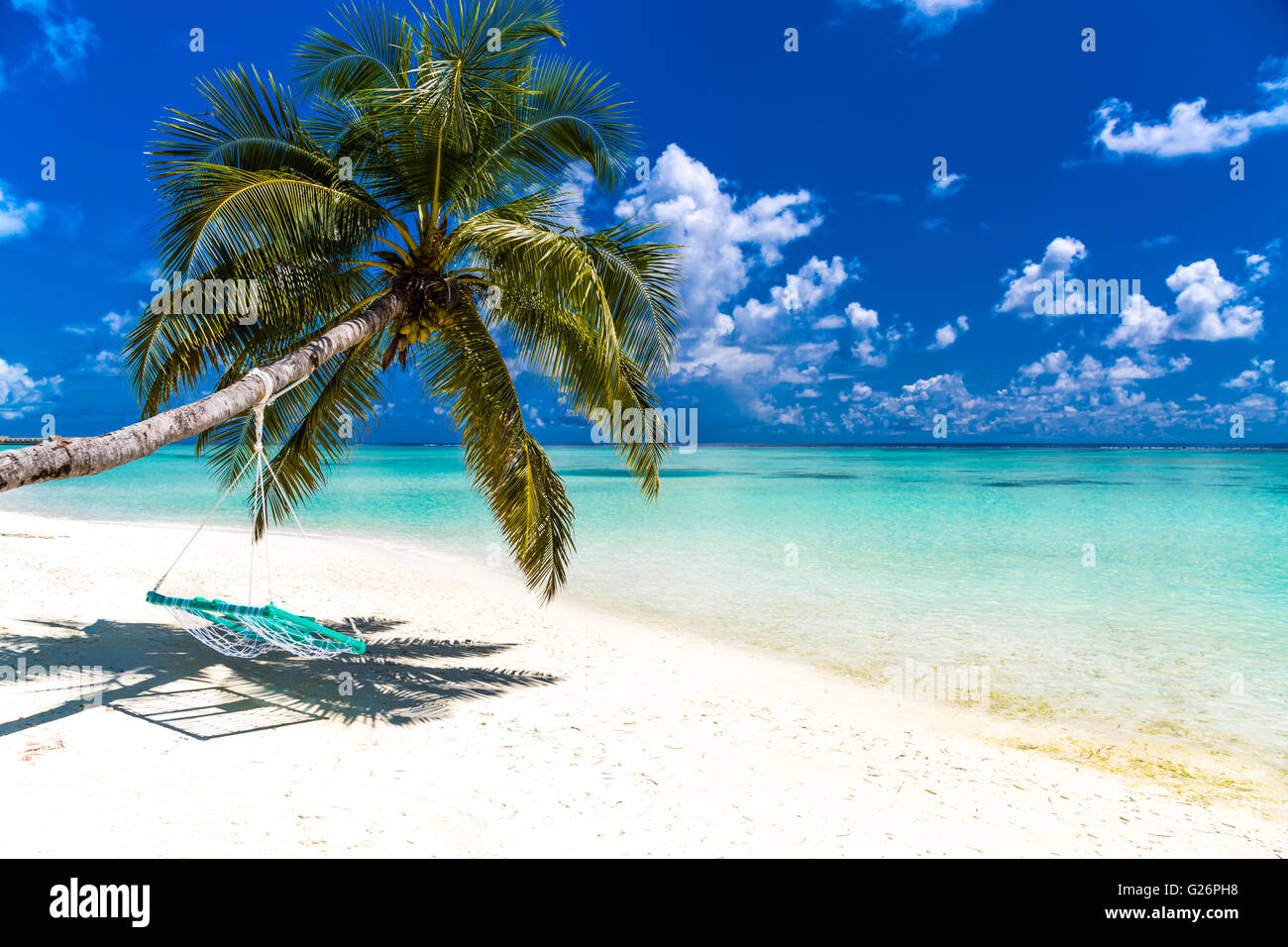 Wunderschönen tropischen Strand mit Palme und eine Schaukel, Hintergrund-Konzept. Stockfoto