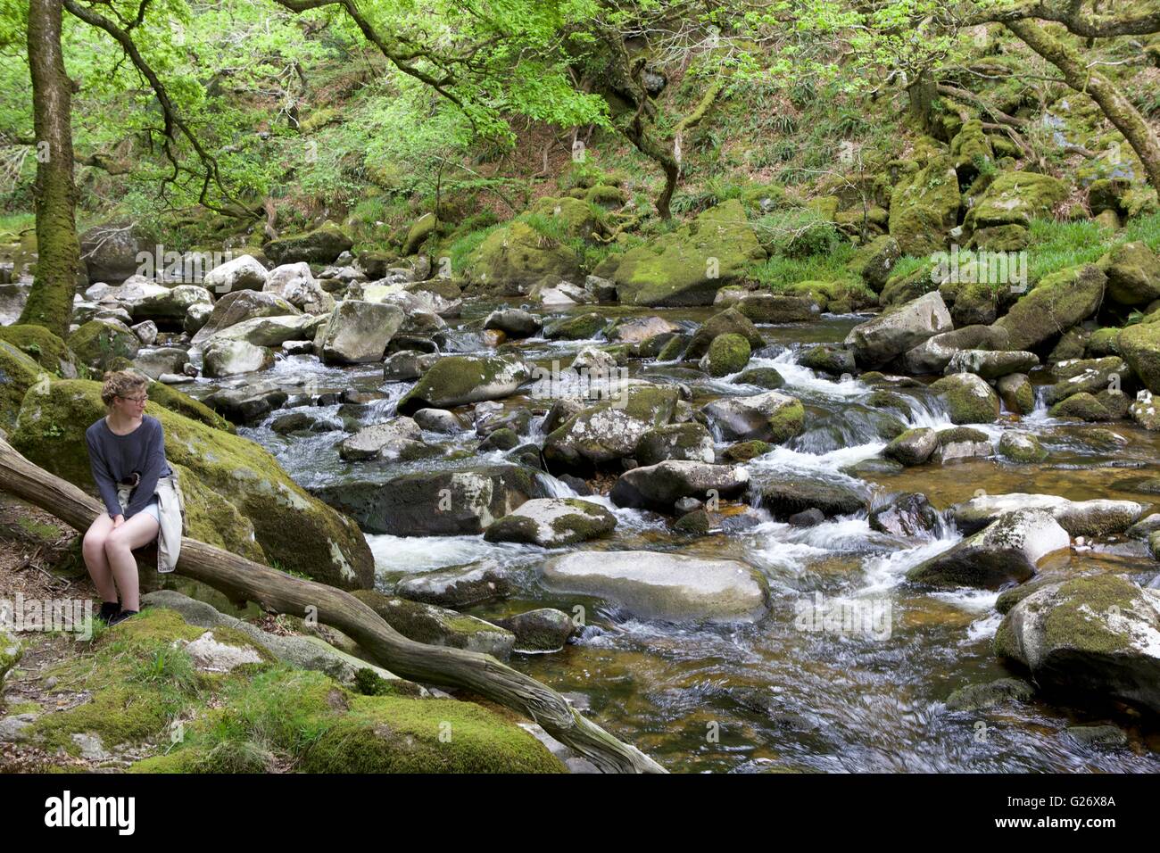 Entspannung durch den Fluß Plym in The Dewerstone, in der Nähe von Shaugh Brücke, Dewerstone Wood, Dartmoor, Devon, Südwestengland, England, UK Stockfoto