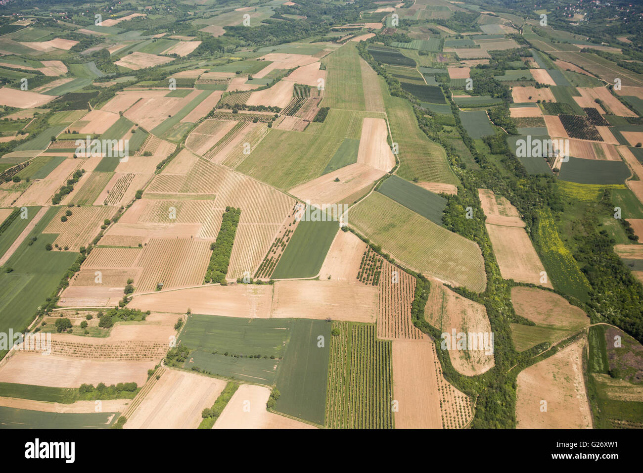 Ackerland Luftaufnahmen in Vojvodina, Serbien Stockfoto