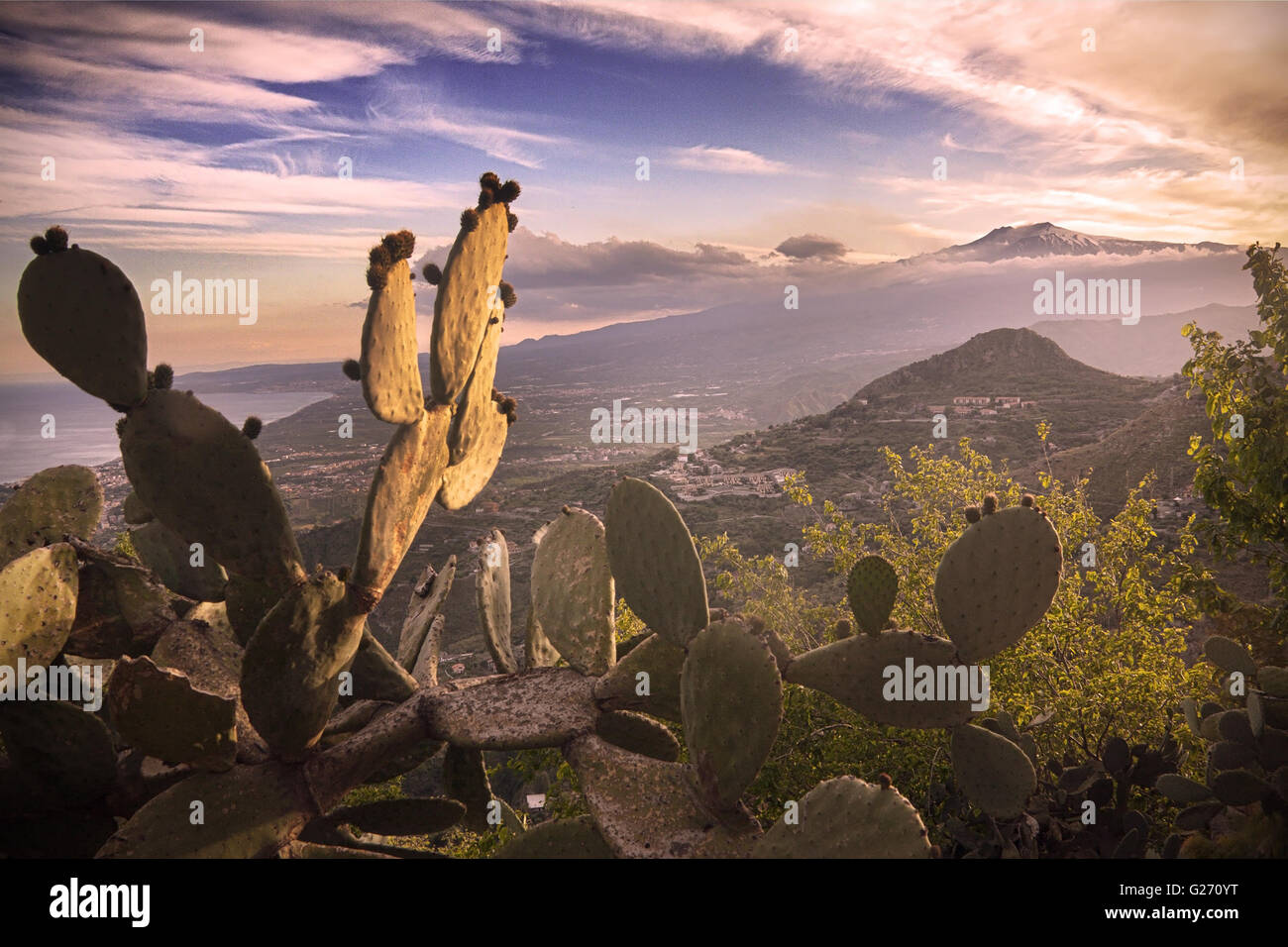 Sizilien, Italien: Ätna gesehen von Taormina. Stachelige Birne im Vordergrund Stockfoto