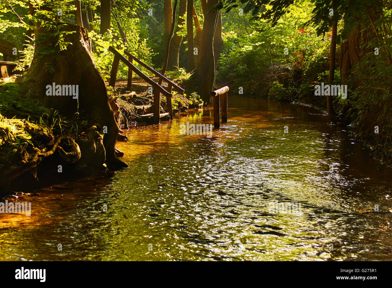 Naturpark Märkische Schweiz, Buckow Stockfotografie Alamy