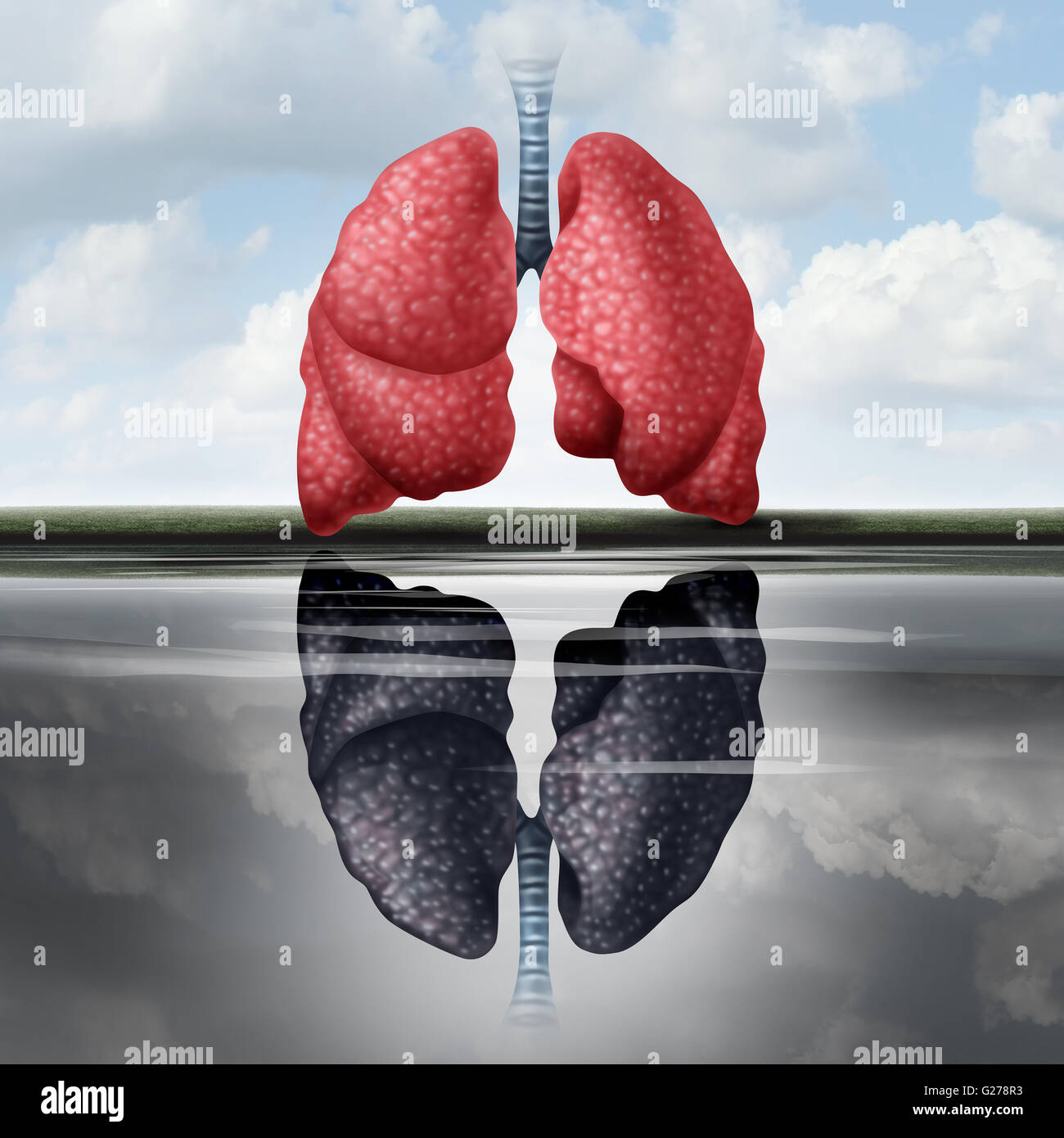 Lung-Health-Konzept als gesunde Lungen casting eine Spiegelung im Wasser eines ungesunden menschlichen Organs als medizinische Metapher für Herz-Kreislauf-Erkrankungsrisiko mit 3D Abbildung Elemente. Stockfoto