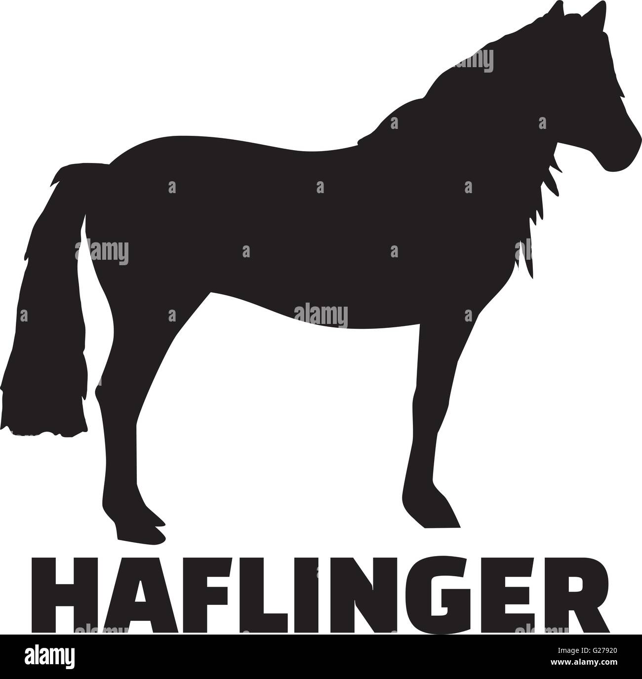 Haflinger Pferd mit Namen Stock Vektor