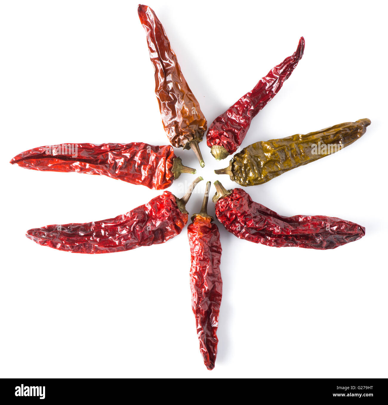 Gesamtansicht der getrocknete Chilischoten, angeordnet in einem "Stern". Stockfoto