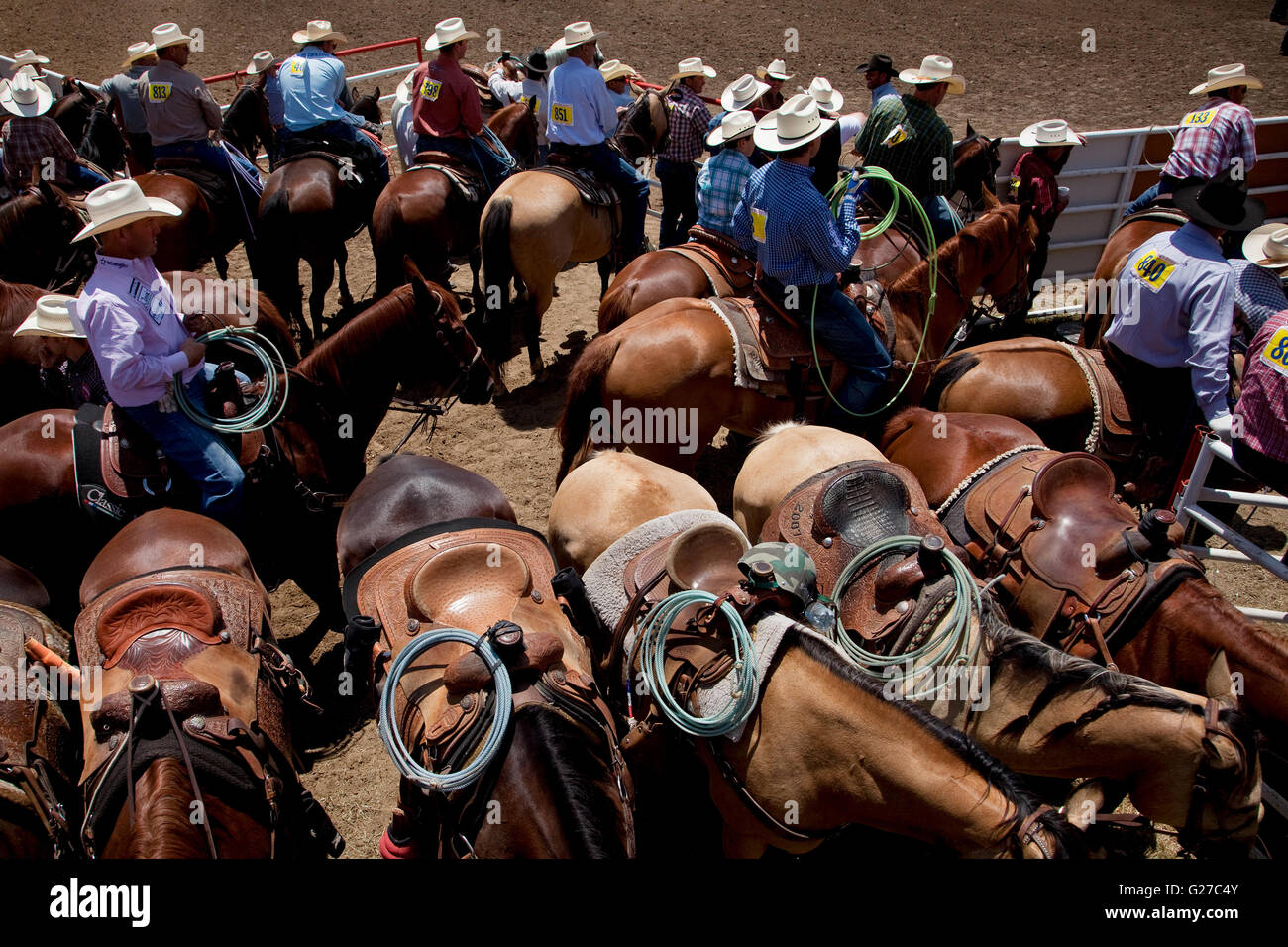 Rancher-Kreis Stockfoto
