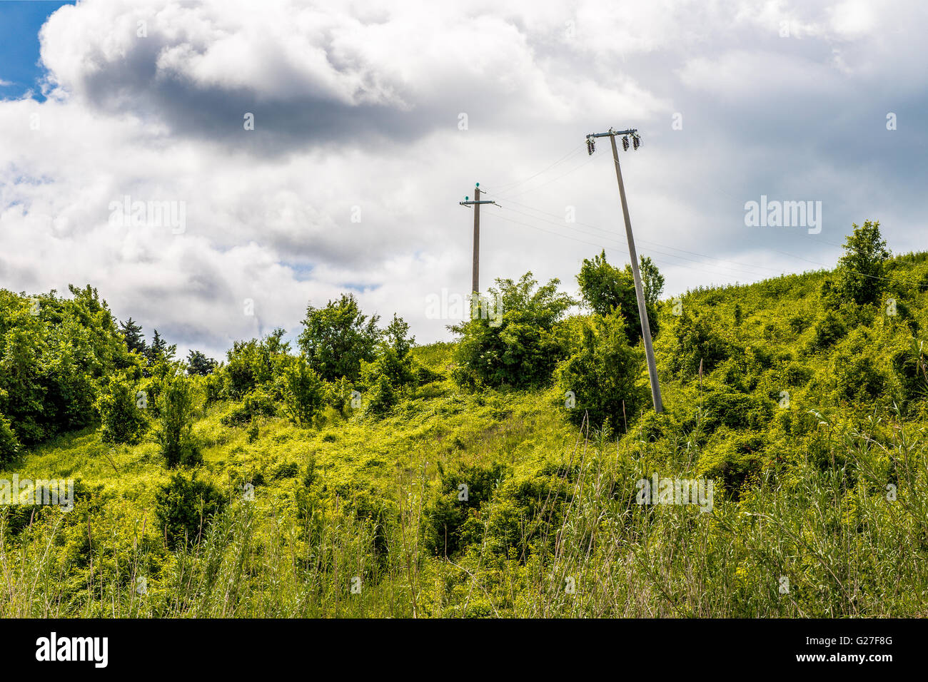 krummen Pylonen in einer grünen Landschaft Stockfoto