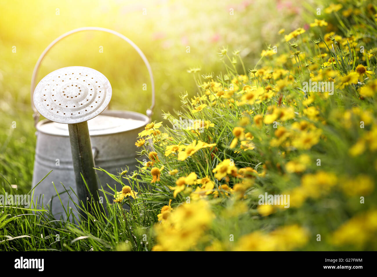 Gießkanne außerhalb in einem Garten Stockfoto