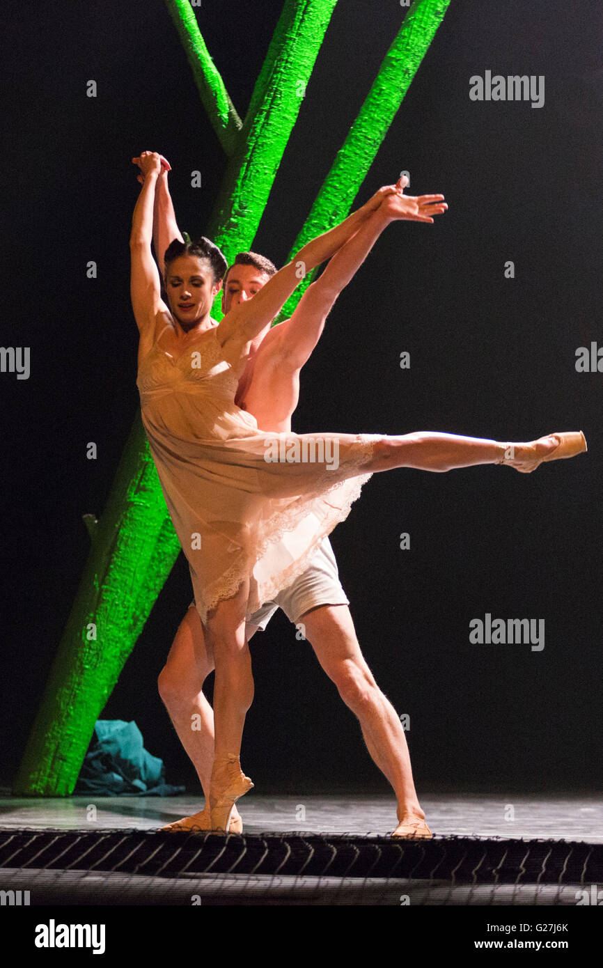 London, UK. 24. Mai 2016. Im Bild: Tobias Bartley (Winston) und Martha Leebolt (Julia) führen die Landschaft Pas de Deux. Northern Ballet führen 1984 choreographiert von Jonathan Watkins Musik von Alex Baranowski von Northern Ballet Sinfonia am Sadler es Wells Theatre durchgeführt. Aufführungen statt finden vom 24. bis 28. Mai 2016. Stockfoto