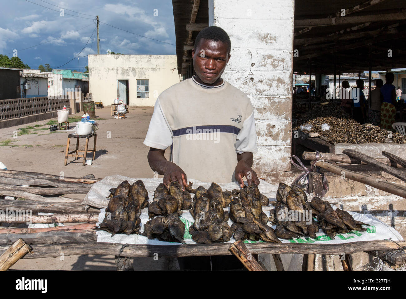 Mann, Verkauf von Fischen auf dem Markt in Sanyati, westlichen Sambia Stockfoto