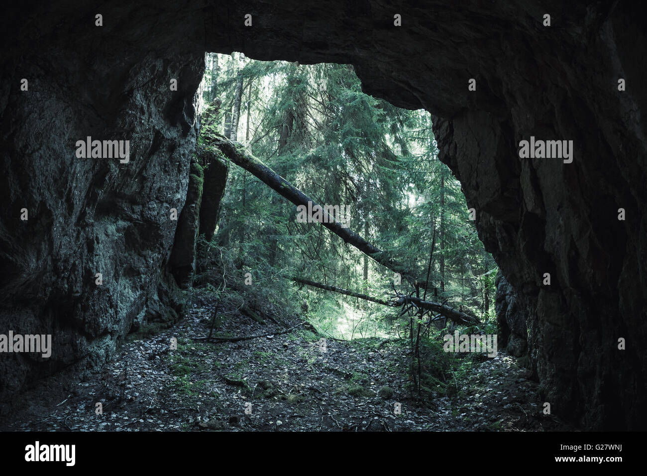 Ausfahrt in den Wald aus dem dunkel felsige Höhle, dunkle Grünfilter tonalen Korrektur Stockfoto