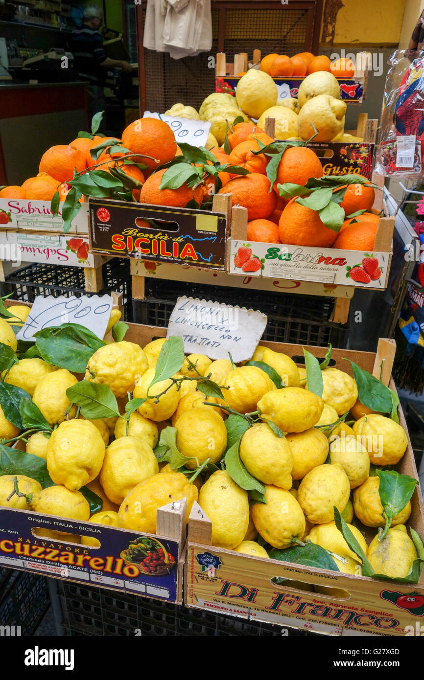 Orangen und Zitronen, Limoncello, für Verkauf auf einem Flohmarkt zu stall in Sorrent Italien Europa Stockfoto