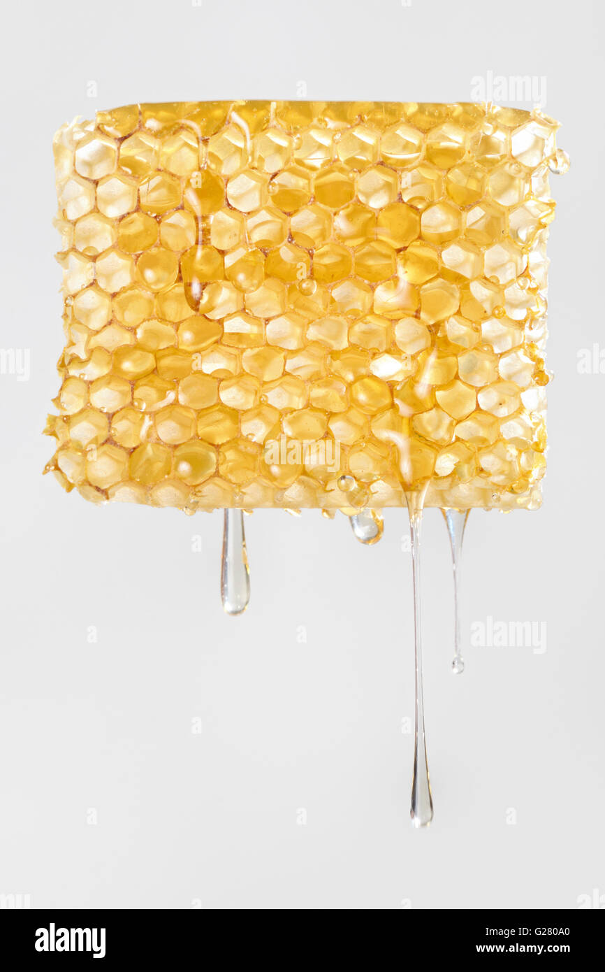 Honig tropft aus Stück Honigwabe Stockfoto