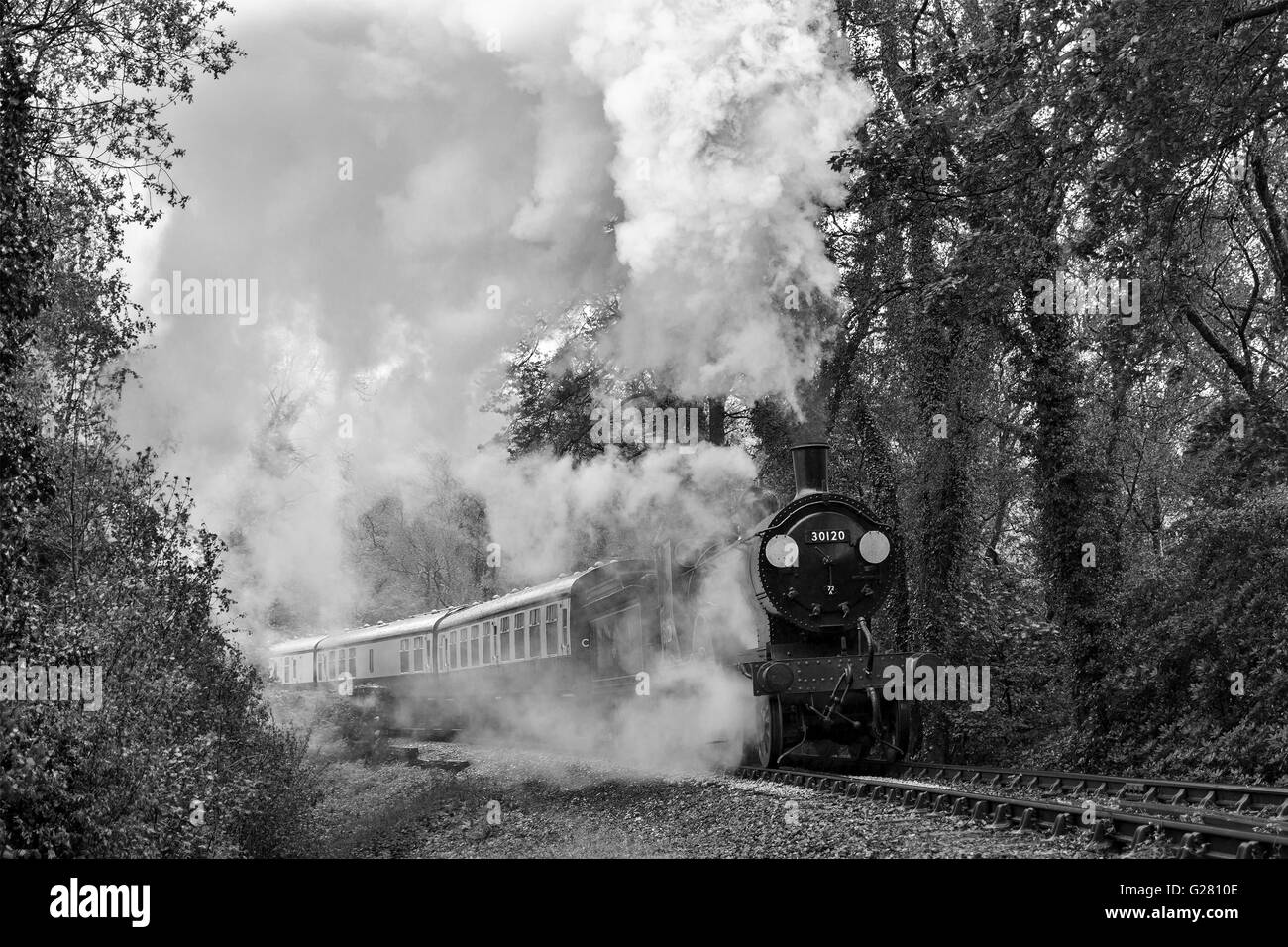 Bodmin & Wenford Dampfeisenbahn Stockfoto