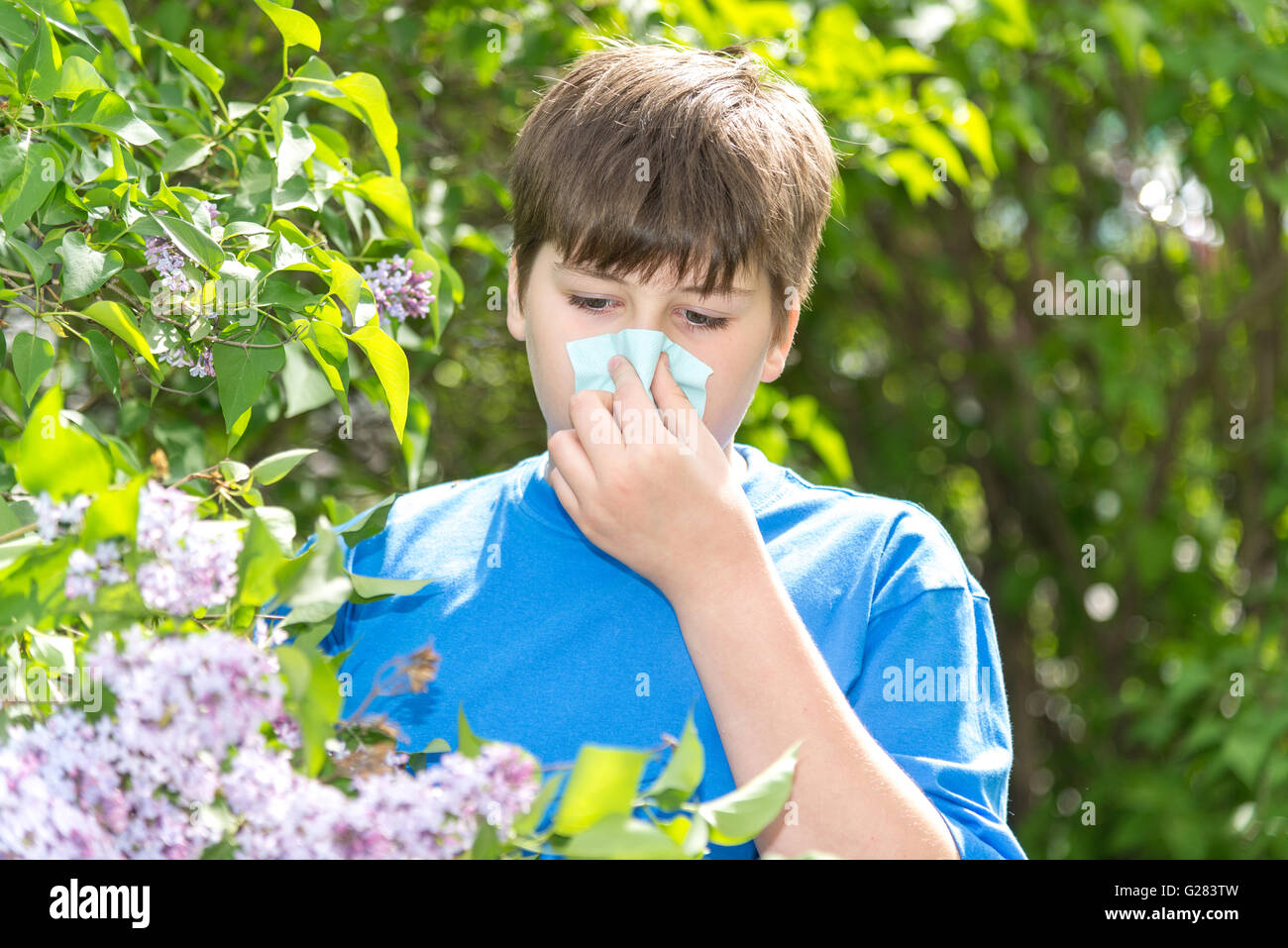 Junge mit allergischer Rhinitis in der Nähe von blühenden Flieder Stockfoto