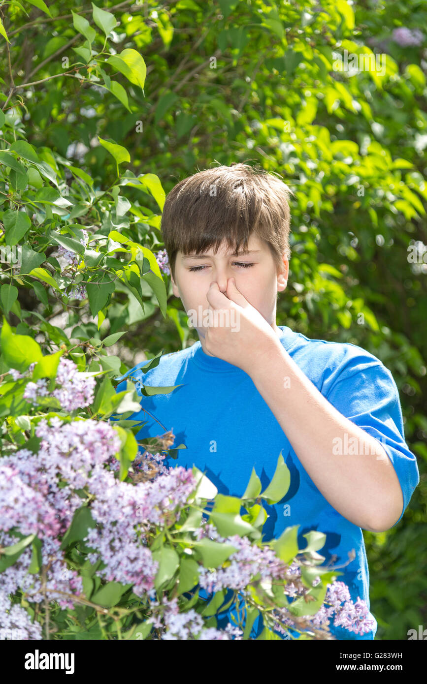 Junge mit allergischer Rhinitis in der Nähe von blühenden Flieder Stockfoto