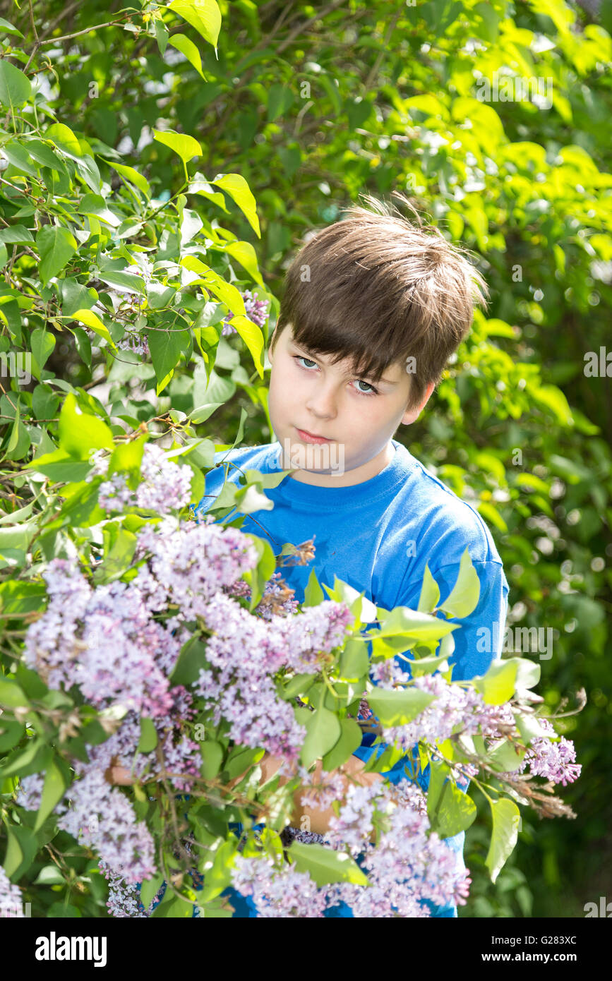 Porträt eines jungen im Park mit blühenden Flieder Stockfoto