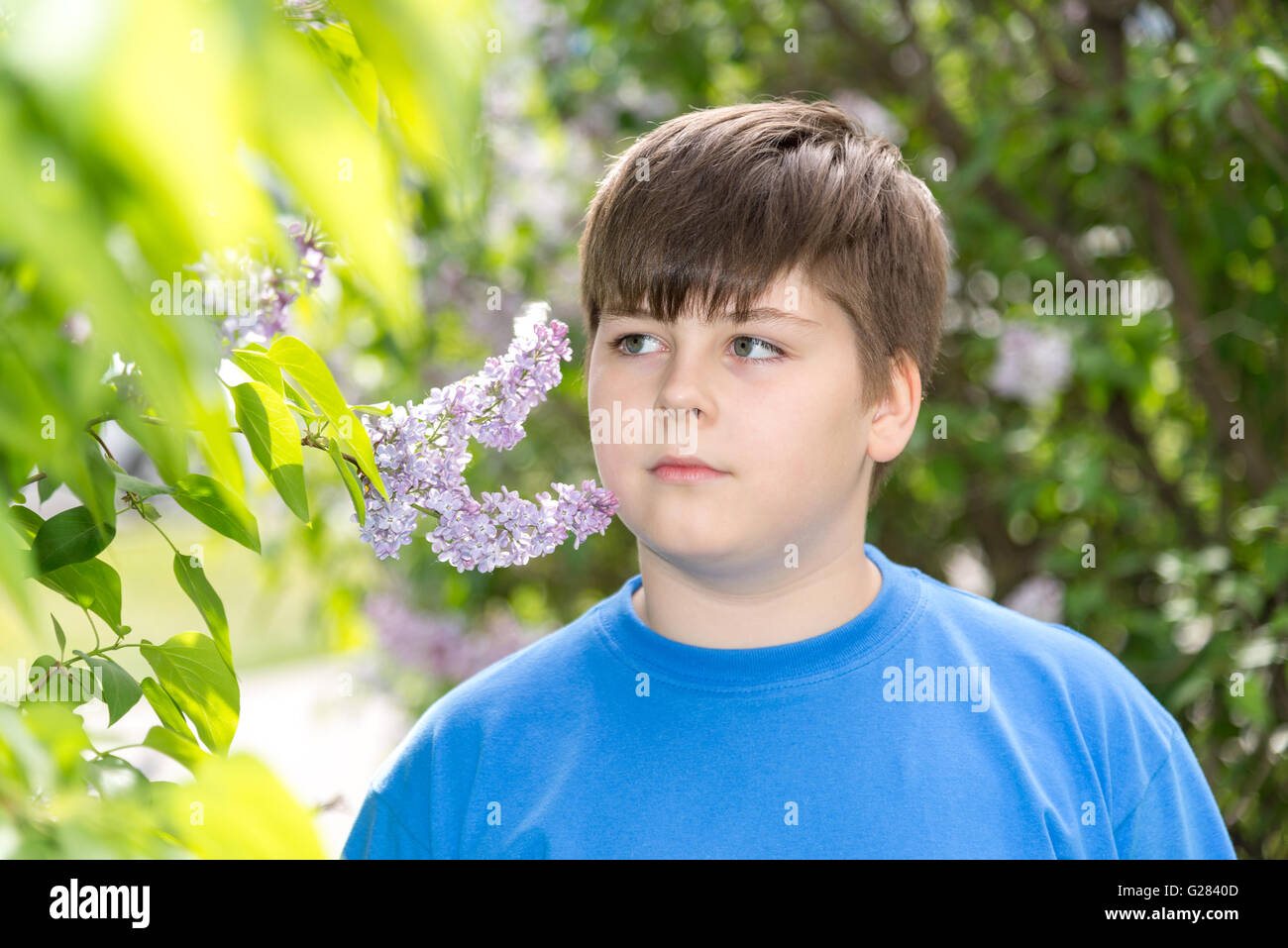 junge riechen ein lila Blumen im park Stockfoto