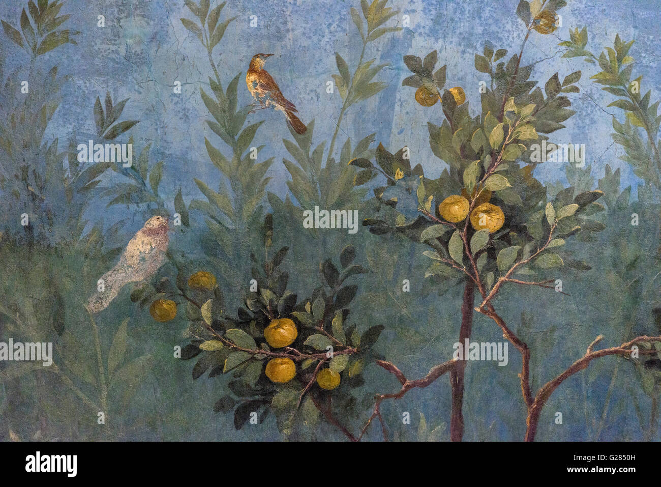 Rom. Italien. Szenen aus einem Garten von Villa Livia, 1. C AD, Palazzo Massimo Alle Terme, Museo Nazionale Romano Fresko. Stockfoto