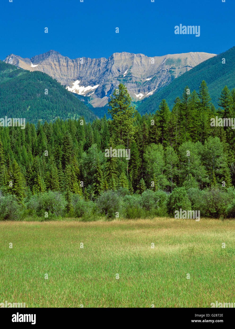 Simmons Wiese unter Schwan Höchststand im Bereich "Schwan" in der Nähe der Stadt von Schwanensee, montana Stockfoto