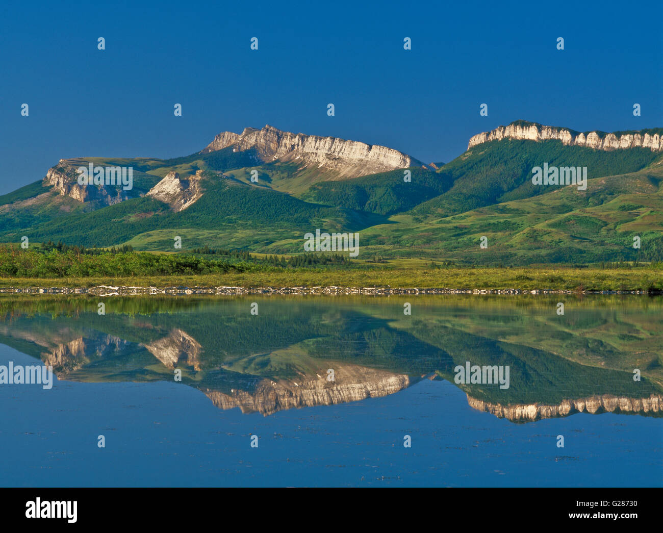 Mauerwerks Riff entlang der felsigen Berg spiegelt sich in einem Sumpfgebiet in der Nähe von Dupuyer, montana Stockfoto