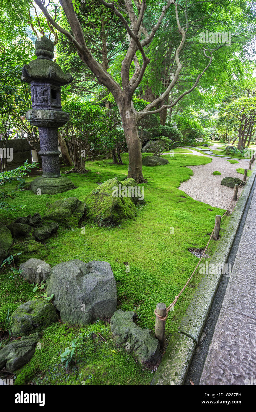 Hokokuji-Zen-Garten - Hokoku-Ji Kamakura ist weltberühmt für seine Bambusgarten, in dem mehr als 2000 Moso Bambus Bäume. Stockfoto